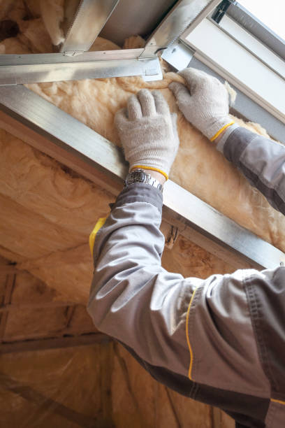 Best Insulation Air Sealing  in Burnsville, MN